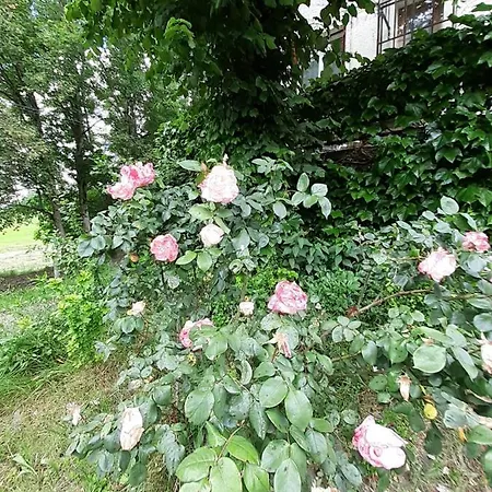 Le Nid Des Avezous Nyaraló Avèze